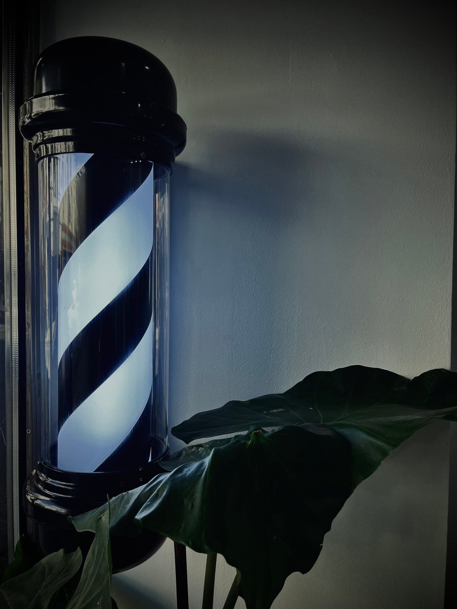 Barber pole negro y blanco encendido junto a la vidriera de Legacy Hair Studio, entre las hojas de una planta grande