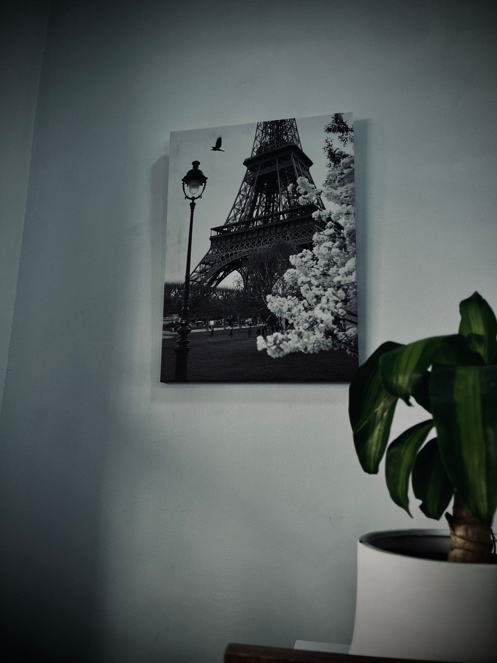Cuadro en blanco y negro de la Torre Eiffel colgado en la pared clara de Legacy Hair Studio, junto a una planta